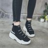 DB Shark Sneakers